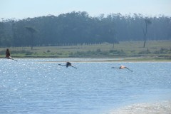 IMG_3946
