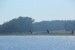 IMG_3947