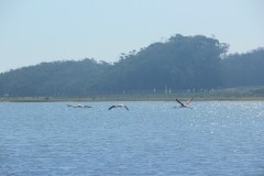 IMG_3948