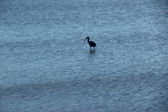 IMG_3953