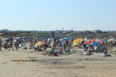 IMG_3955-La-Paloma