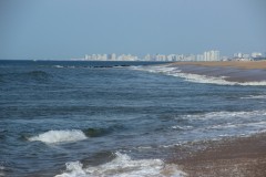 IMG_3977