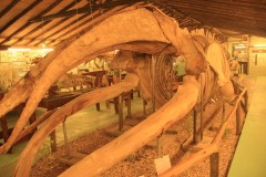 IMG_3978-La-Barra-Museo-del-Mar