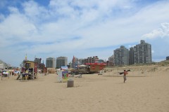 IMG_3985