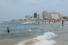 IMG_3987