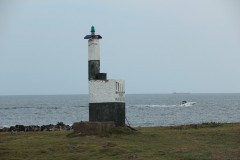 IMG_4005