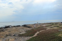 IMG_4010-Punta-del-Este-Punta-Salinas