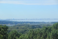 IMG_4032