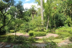 IMG_4297-Jardín-Japones