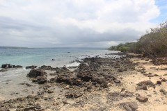 1423-Million-Dollar-Point