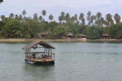 1456-Oyster-Island