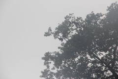 1494-Loru-Conservation-Area