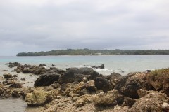 1585-Dog´s-Head-Vao-Isl.-Small-Nambas