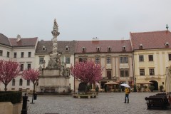 IMG_5681