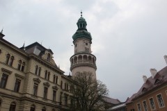 IMG_5688
