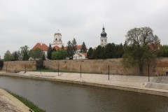 IMG_5697