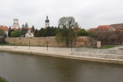 IMG_5698