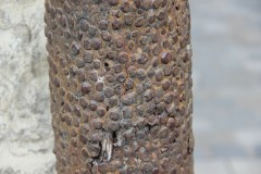 IMG_5711