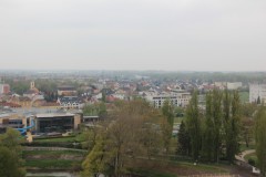 IMG_5728