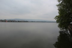IMG_5739