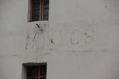 IMG_5753