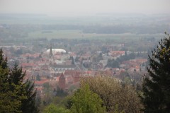 IMG_5768