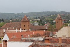 IMG_5781