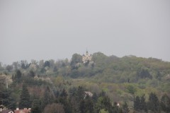 IMG_5785