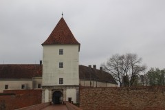 IMG_5799