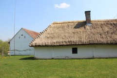 IMG_5808