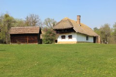 IMG_5809