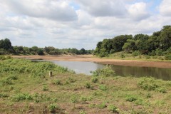 IMG_7085-Kwaluzi-River