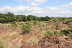 IMG_7087-Gonarezhou-NP