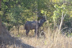 IMG_7125