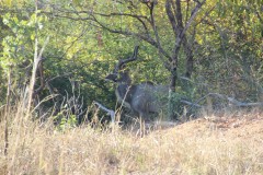 IMG_7128