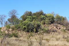 IMG_7143