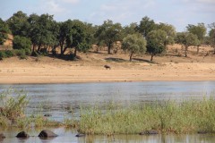 IMG_7168-Runde-River