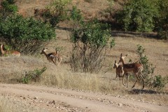 IMG_7172