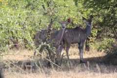 IMG_7193