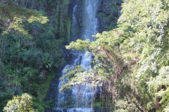 IMG_7264