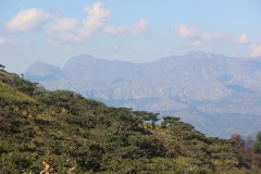 IMG_7271