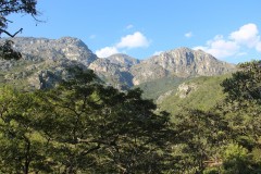IMG_7272-Chimanimani-NP