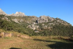 IMG_7276-Chimanimani-NP