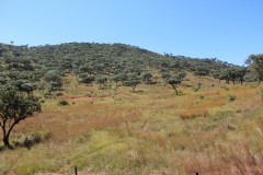 IMG_7286-Mutare-Tiger´s-Kloof-Game-Reserve