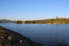 IMG_7308