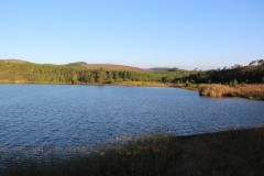IMG_7309