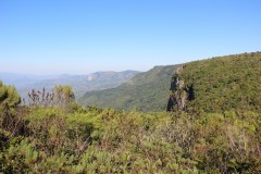 IMG_7313-Nyanga-NP-Honde-Valley