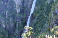 IMG_7326