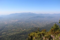 IMG_7331
