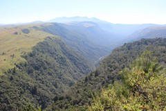 IMG_7334-Pungwe-View